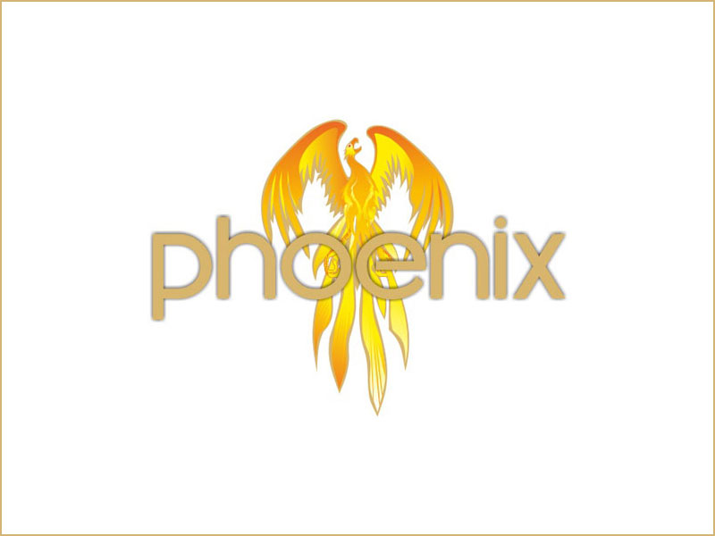 Webseiten Referenzen - Phoenix
